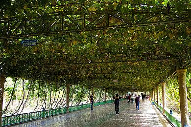 【第一视角】《永劫无间》职业联赛NBPL常规赛6月9日赛事